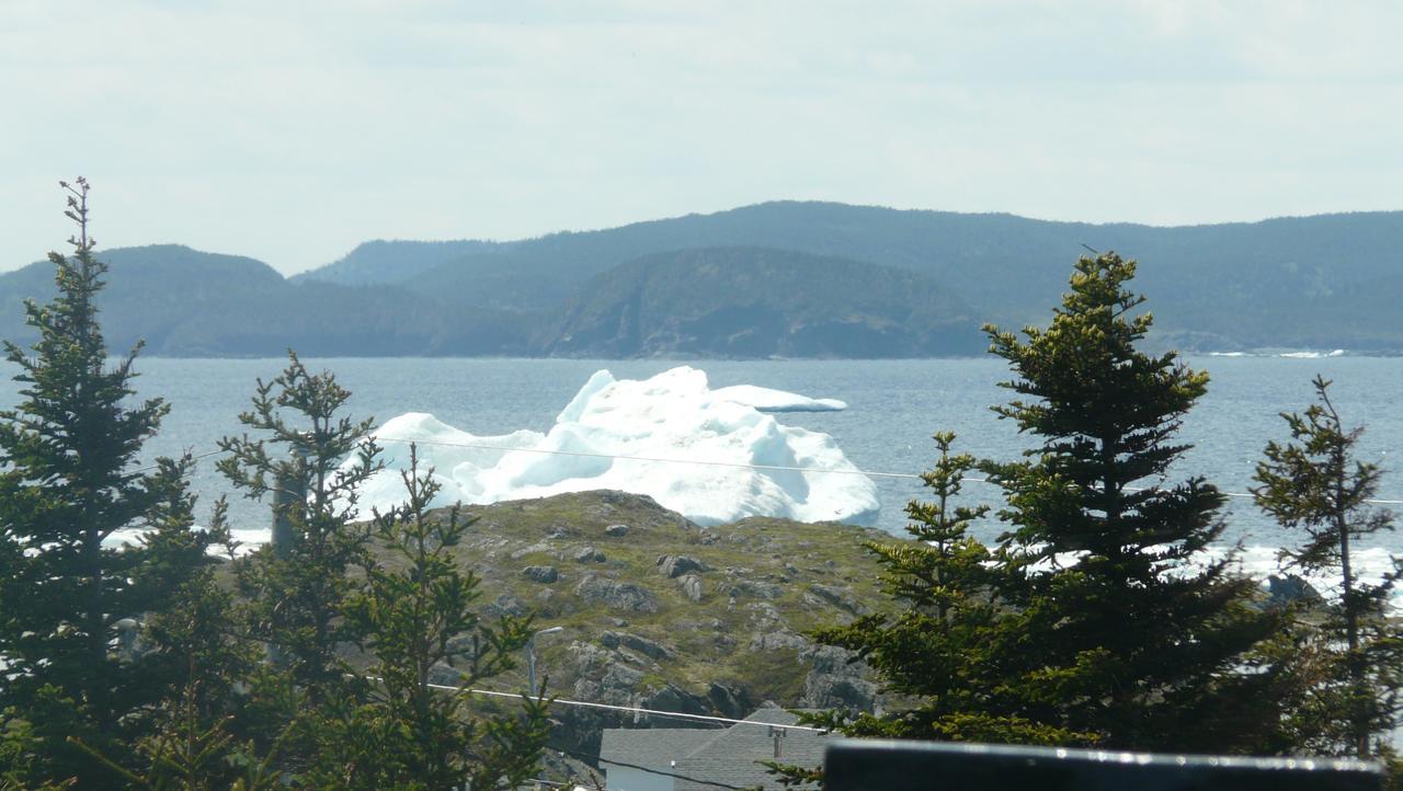 Tranquility Hill B & B Twillingate Exterior foto