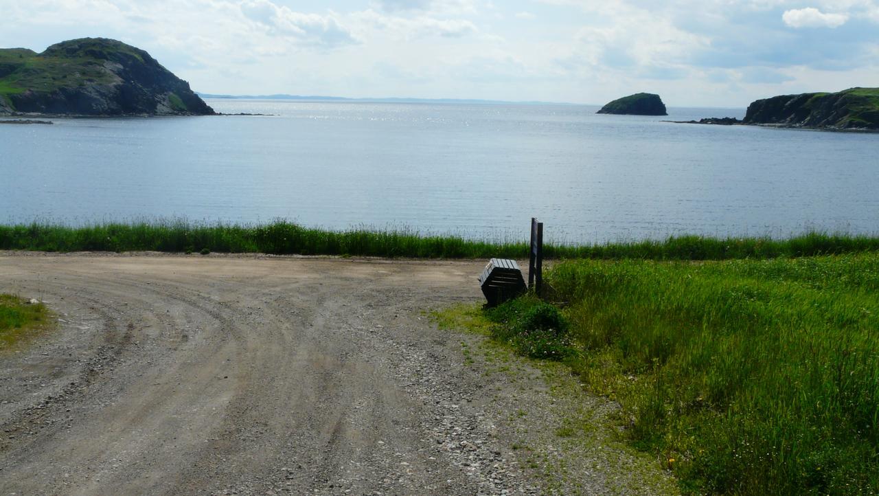 Tranquility Hill B & B Twillingate Exterior foto